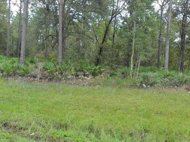 Land for sale in Christmas, Florida