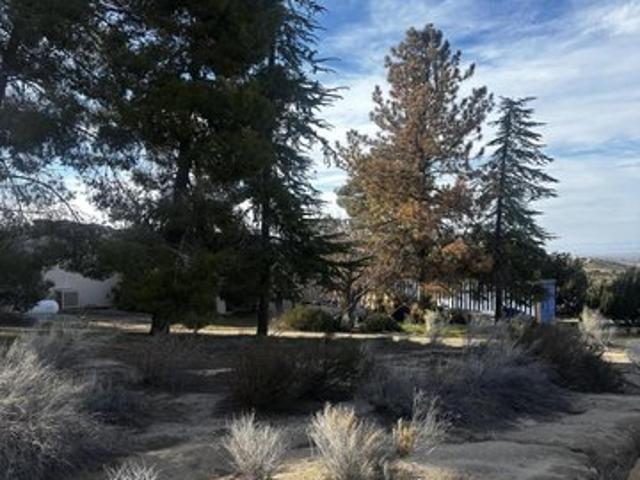Land for sale in Pearblossom, California