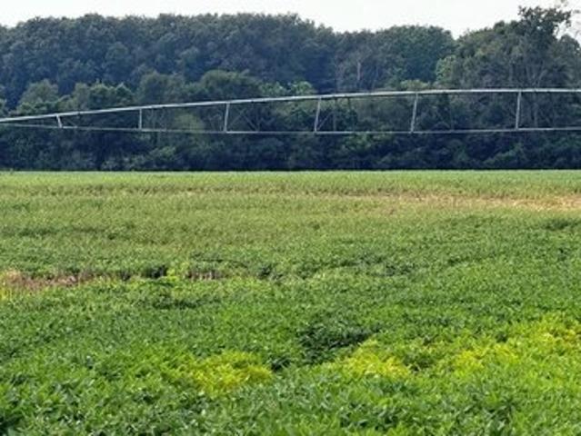 Land for sale in Grovertown, Indiana