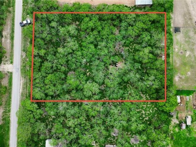 Land for sale in Kingsville, Texas