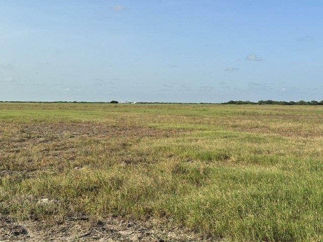 Land for sale in Riviera, Texas