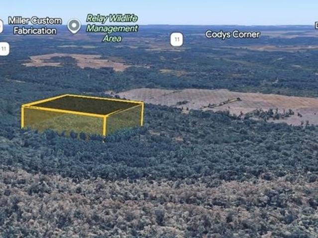 Land for sale in Bunnell, Florida