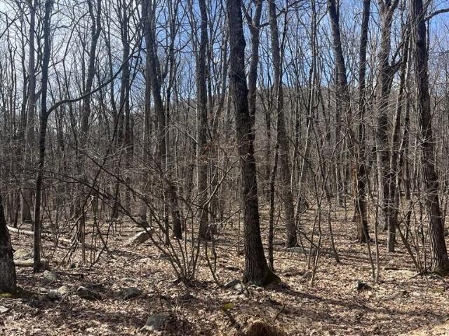 Land for sale in Carbon, Pennsylvania