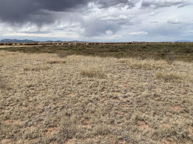 Land for sale in Moriarty, Torrance County