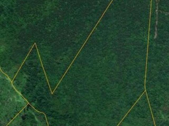 Land for sale in Faison, North Carolina