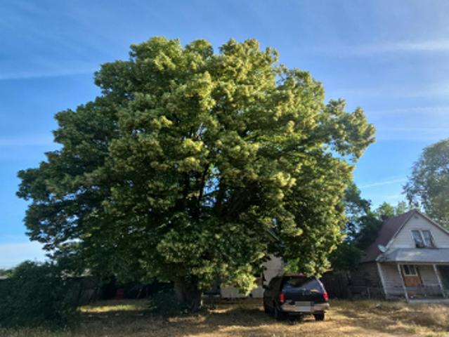House for sale in Spokane, Washington