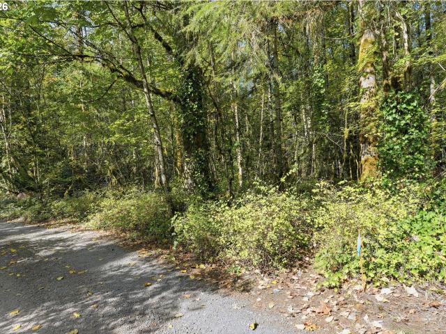 Land for sale in Wemme, Welches
