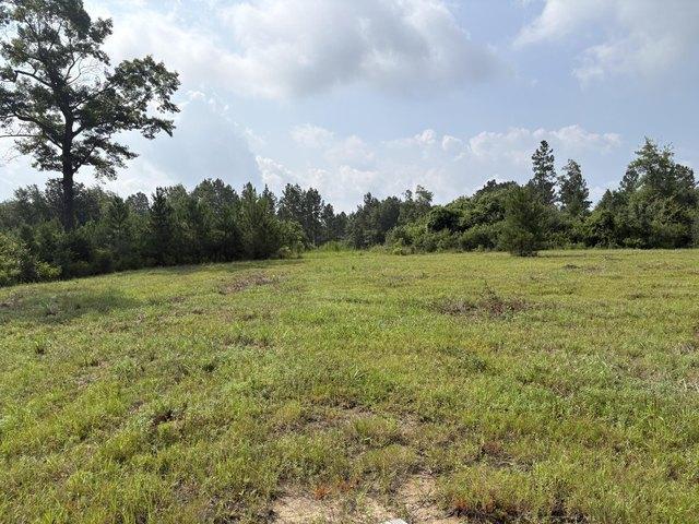 Farm for sale in Tylertown, Mississippi