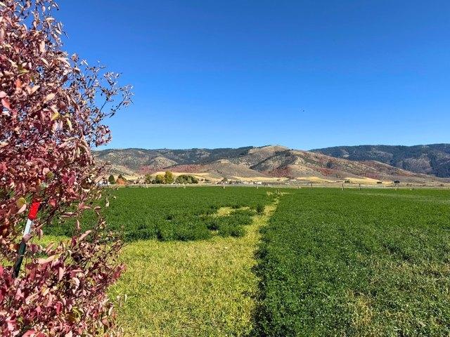Land for sale in Grace, Caribou County
