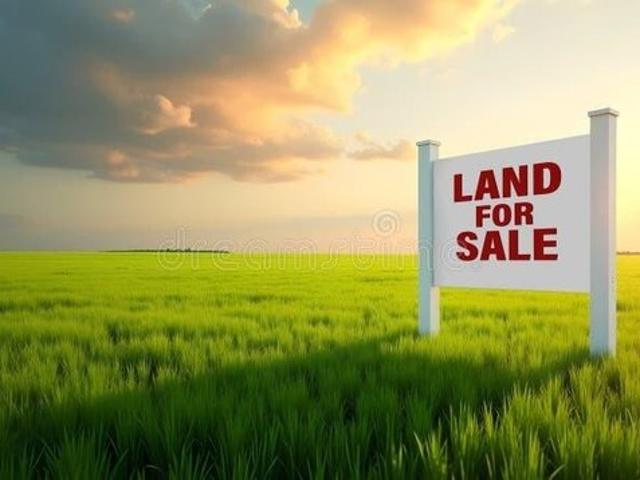 Land for sale in Demotte, Indiana