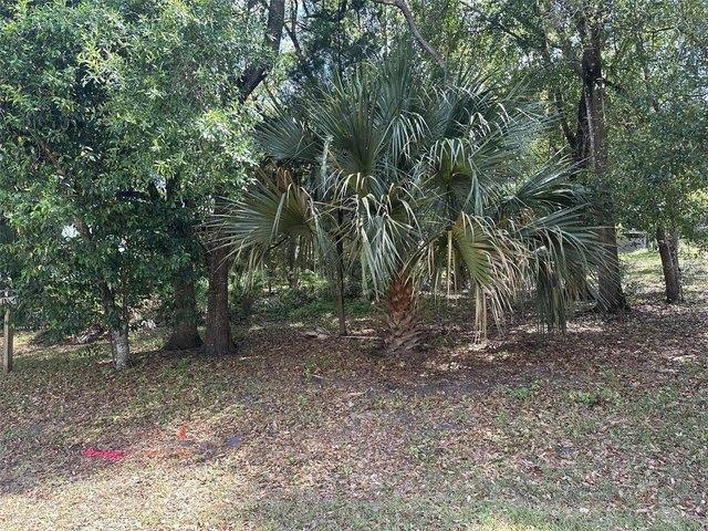 Land for sale in Orange City, Florida