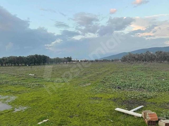 Torbali, İzmir içerisinde satılık Arsa
