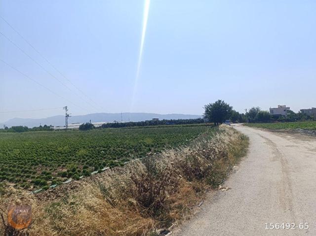 İzmir Merkez içerisinde satılık Tarla İzmir Merkez içerisinde satılık Tarla