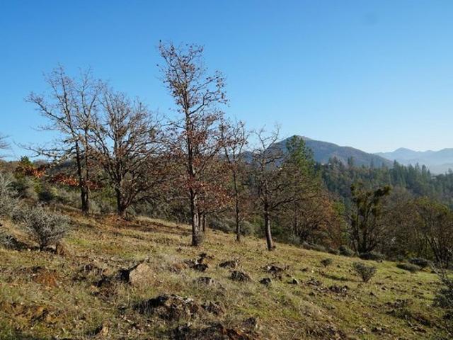 Land for sale in Rogue River, Jackson County