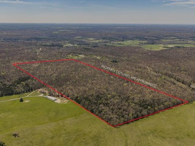 Land for sale in Fair Grove, Missouri