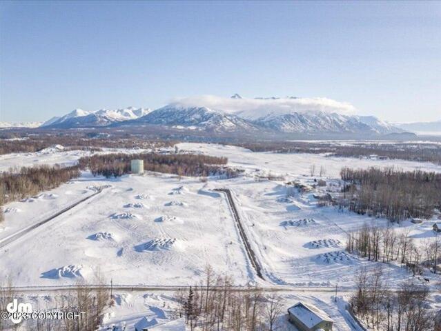Land for sale in Palmer