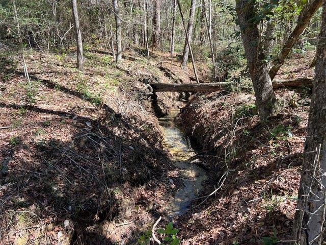 Land for sale in Polk, Texas