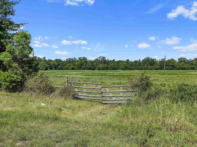 Land for sale in Mount Enterprise, Texas