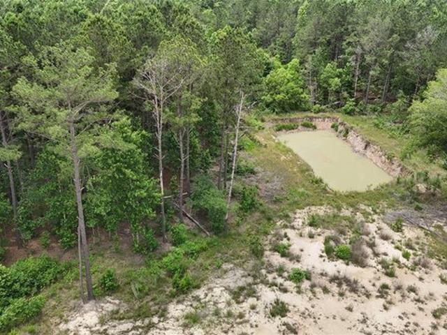 Land for sale in Hillister, Texas