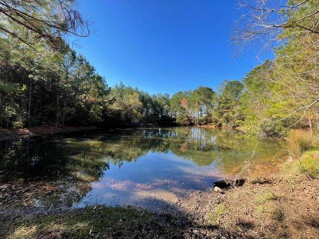 Land for sale in Polk, Texas