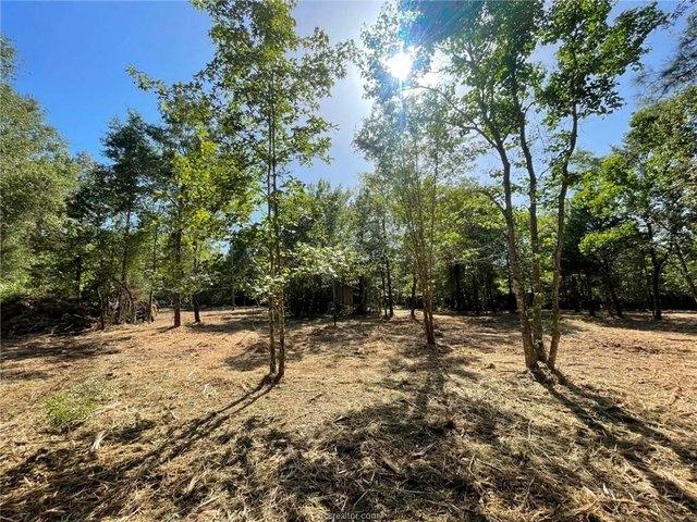 Land for sale in Polk, Texas