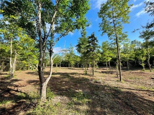 Land for sale in Polk, Texas