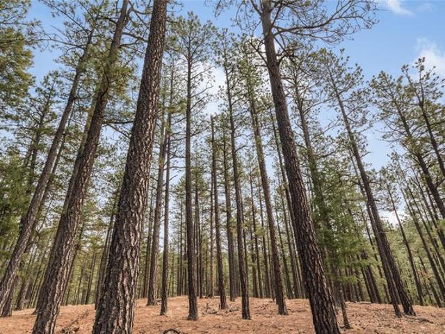 Land for sale in Rociada, New Mexico