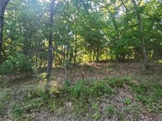 Land for sale in Gasconade, Missouri