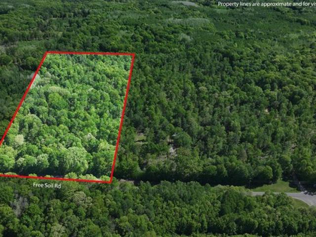 Land for sale in Free Soil, Michigan