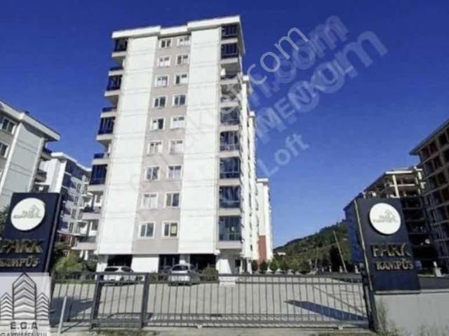 Ordu içerisinde kiralık mülk