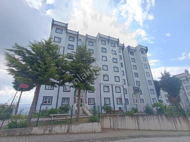 Ordu içerisinde kiralık mülk