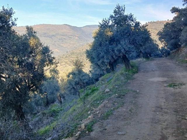 Bayindir, İzmir içerisinde satılık mülk