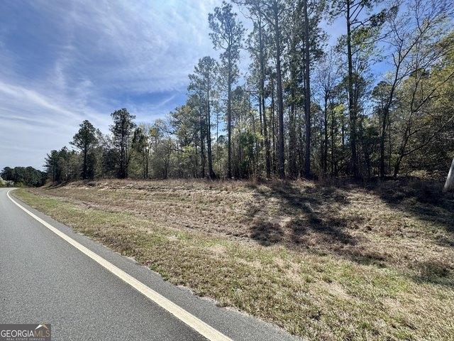 Land for sale in Lyons, Georgia