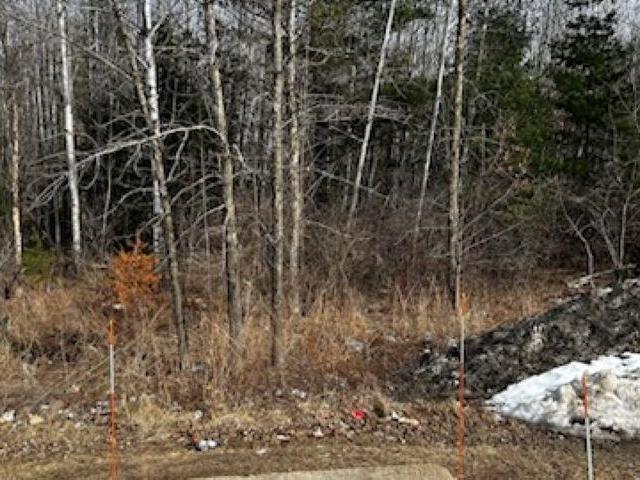 Land for sale in Shawano, Wisconsin