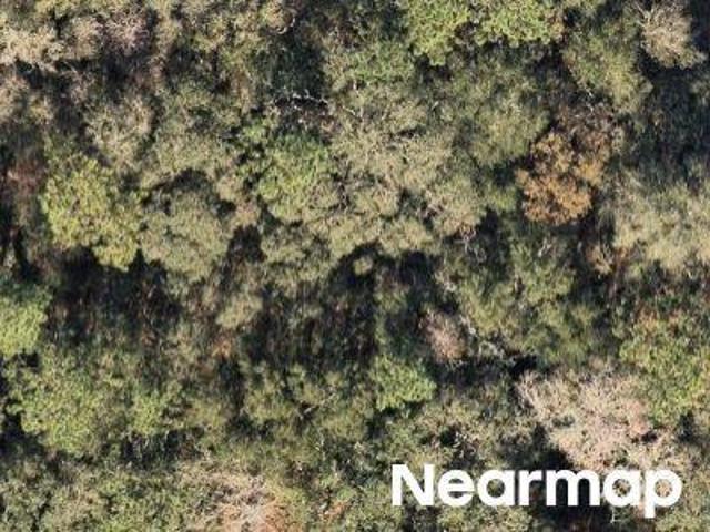 Land for sale in Florida