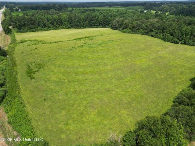 Land for sale in Philadelphia, Mississippi