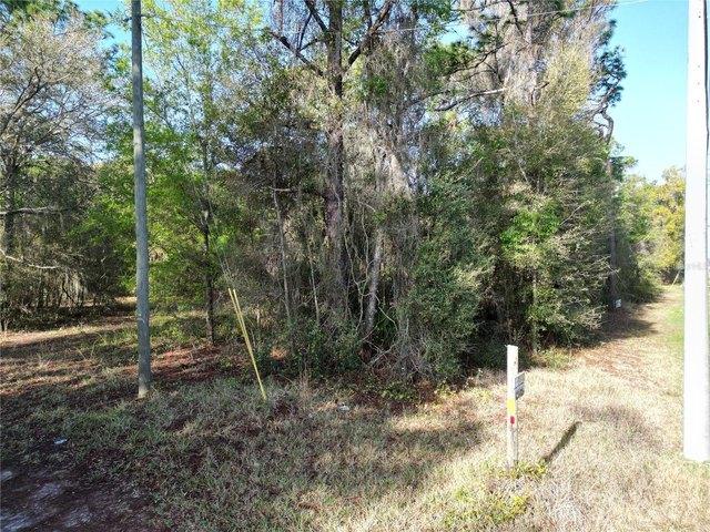 Land for sale in Belleview, Florida