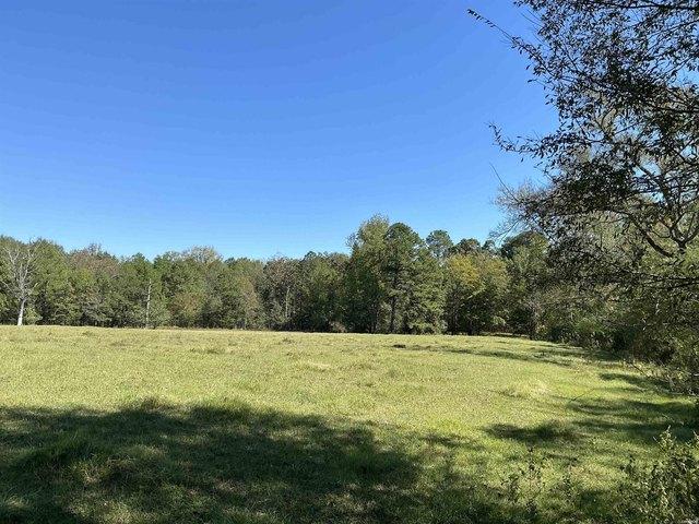 Land for sale in Glenwood, Pike County