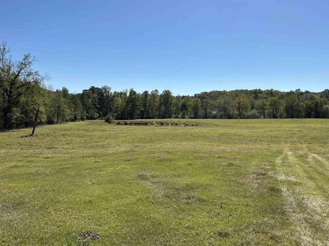 Land for sale in Glenwood, Pike County