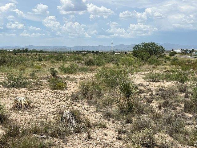 Farm for sale in Brewster, Texas