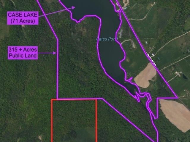 Land for sale in Franklinville, New York