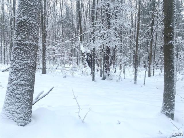 Land for sale in Friendship, New York