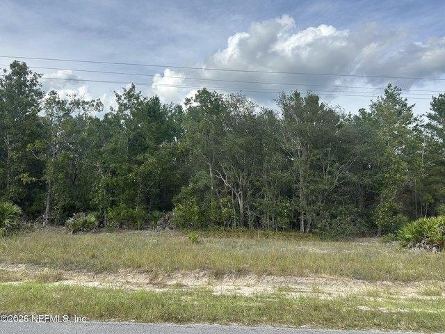 Land for sale in Florahome, Putnam County