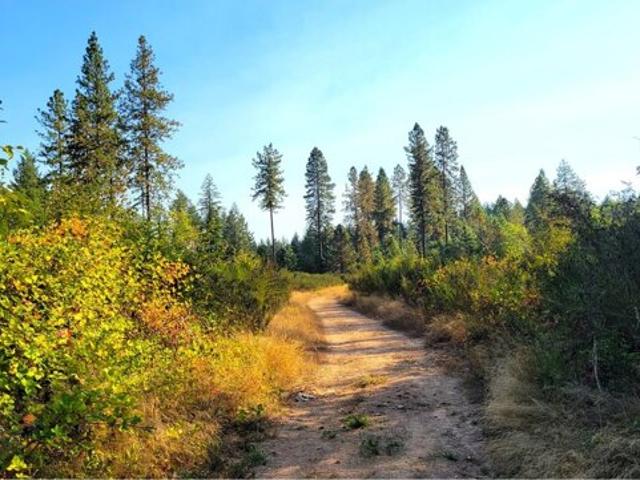 Land for sale in Veneta