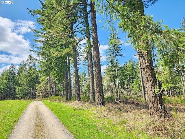 Land for sale in Veneta