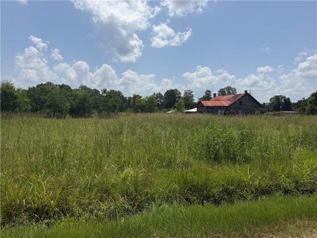 Land for sale in Tangipahoa, Louisiana