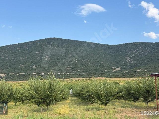 Akkeçili, Senirkent içerisinde satılık mülk