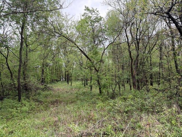 Land for sale in Carthage, Missouri