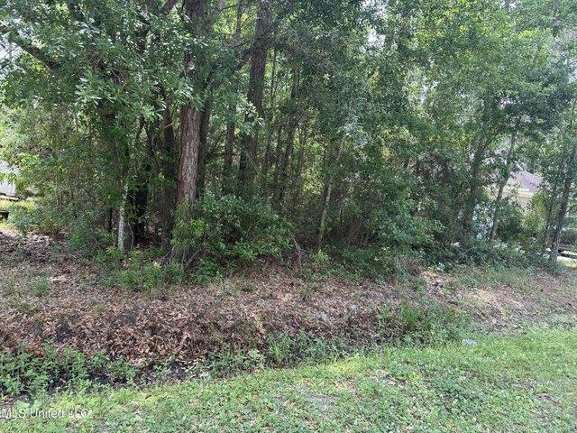 Land for sale in Bay Saint Louis, Mississippi