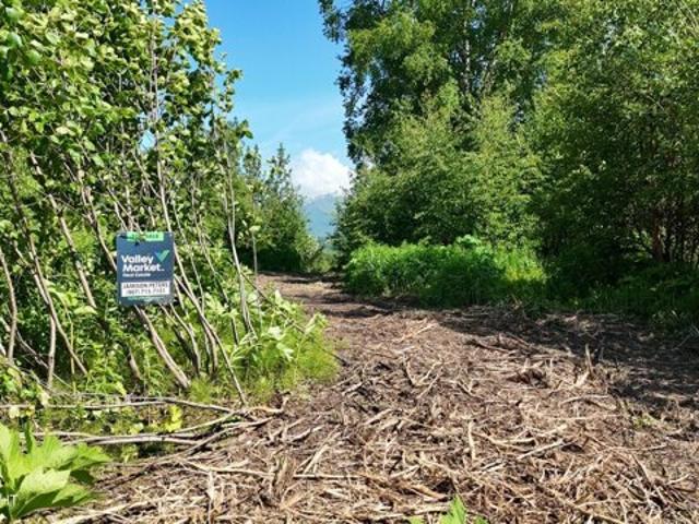 Land for sale in Palmer